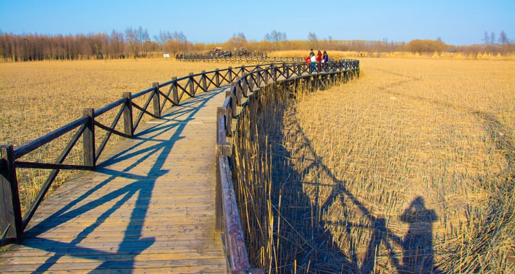 Chongming lsland Xitan Weland Park 