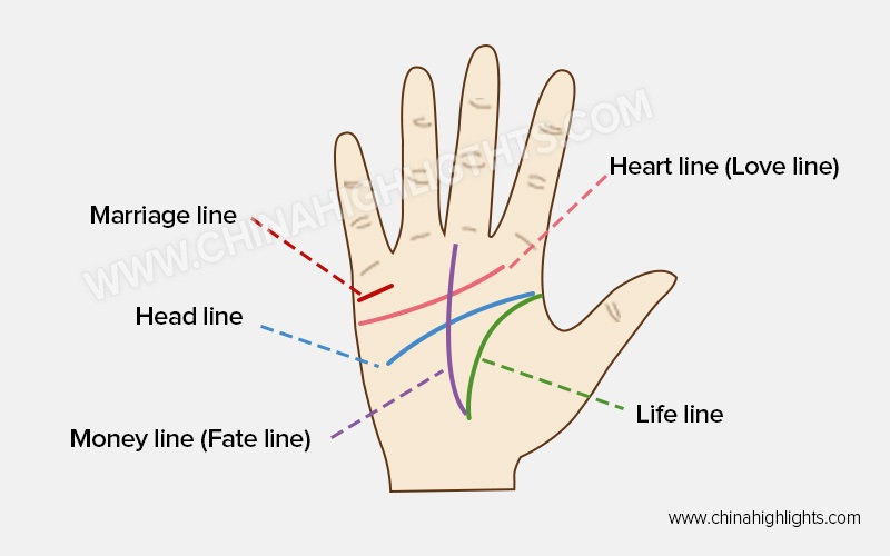 palm reading basics