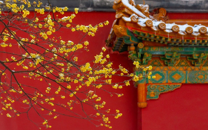  Beijing Festivals 
