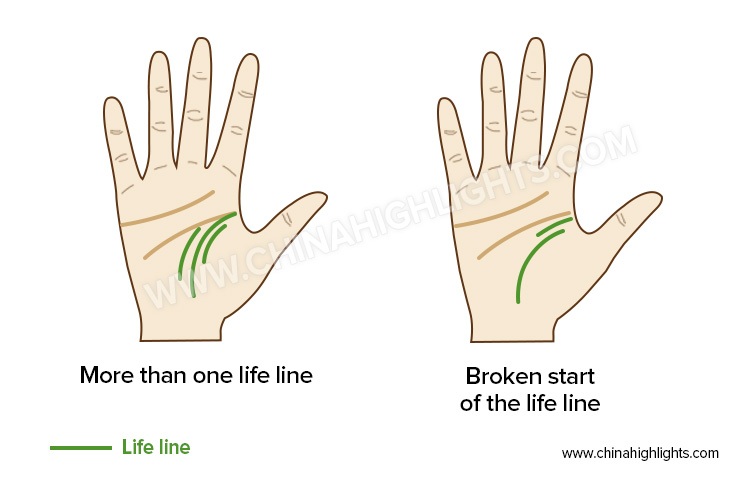 Palm Reading Guide: How to Read Your Palm Lines with Chart (2022)