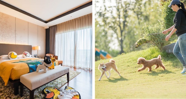 Escape to Nature at the Hyatt Regency Chongming