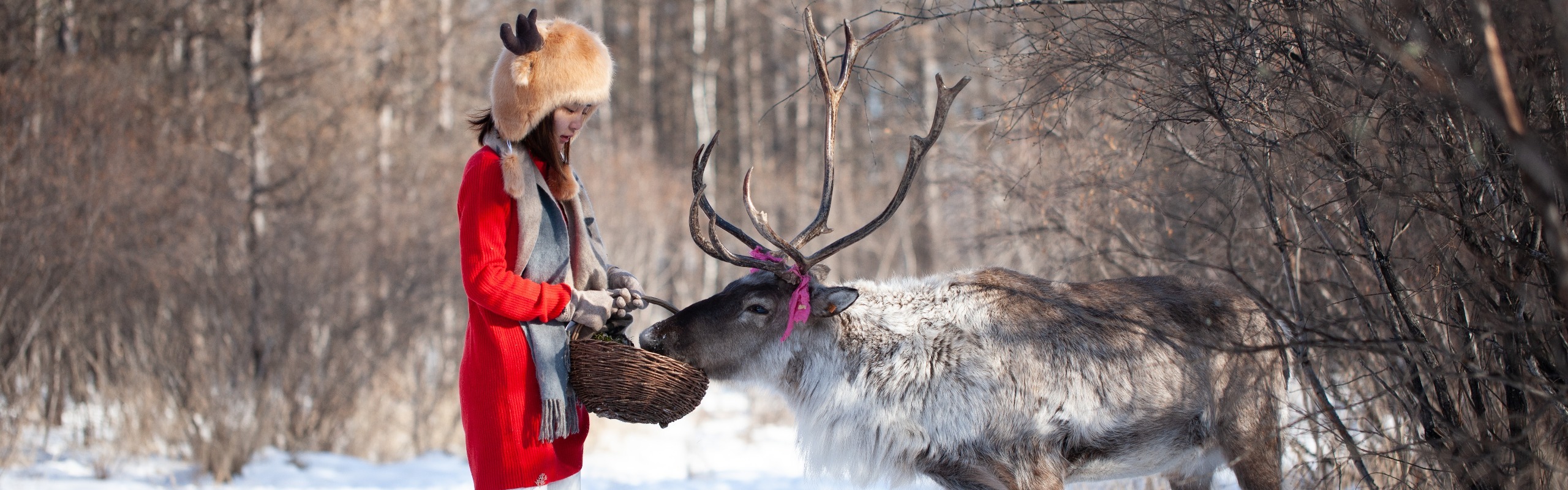 Inner Mongolia Mini Group| 6-Day Winter Tour with Reindeer Experience (6-12 People)