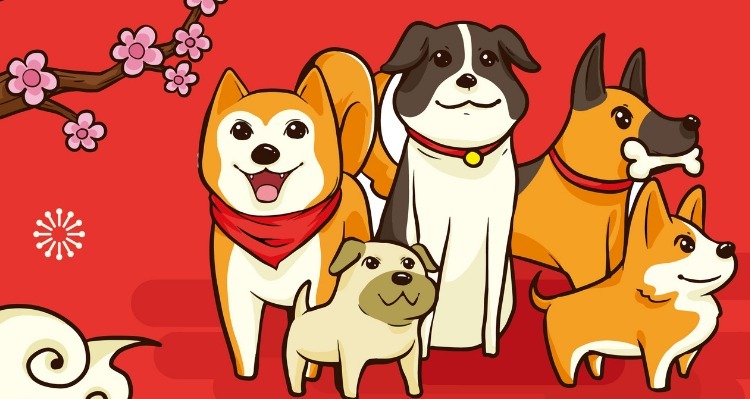 Dogs