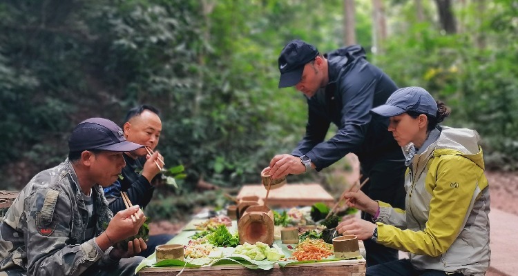 Hiking and Picnic in the Forest in Xishuangbanna