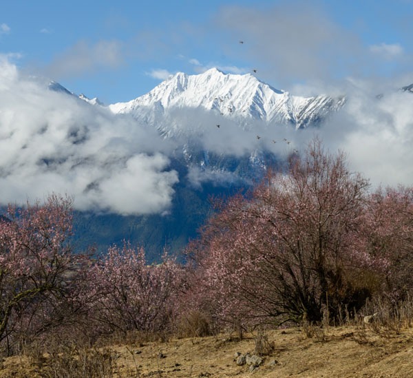 7-Day Lhasa, Nyingtri, and Bomi East Tibet Tour