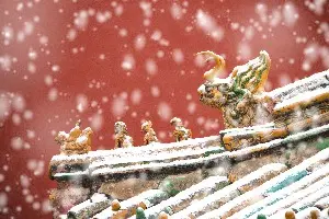 Snow-capped yellow roofs and red walls in the Forbidden City.