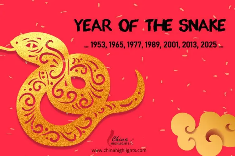 Year of the Snake