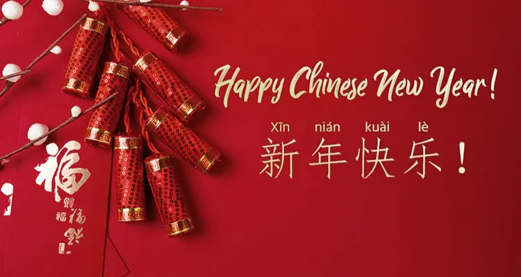 Happy Chinese New Year in Chinese