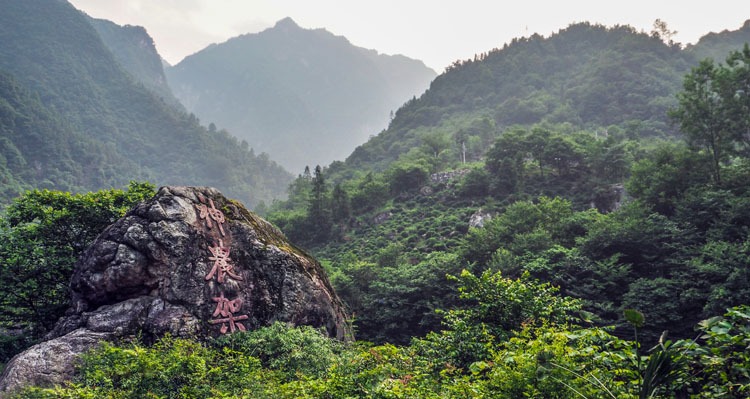  Shennongjia Scenic Area