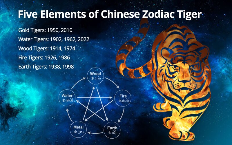 Chinese Zodiac Tigers of 5 Elements: Characters, Destinies        