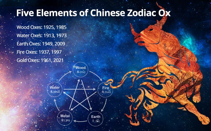 Five Elements Analysis for Ox Year People