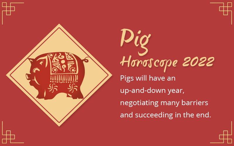 Pigs' Horoscope 2022