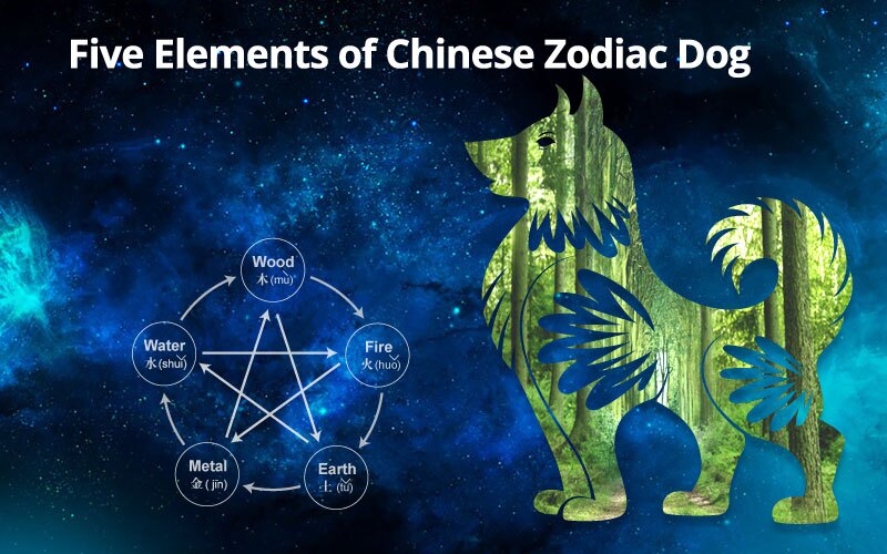 chinese zodiac years elements