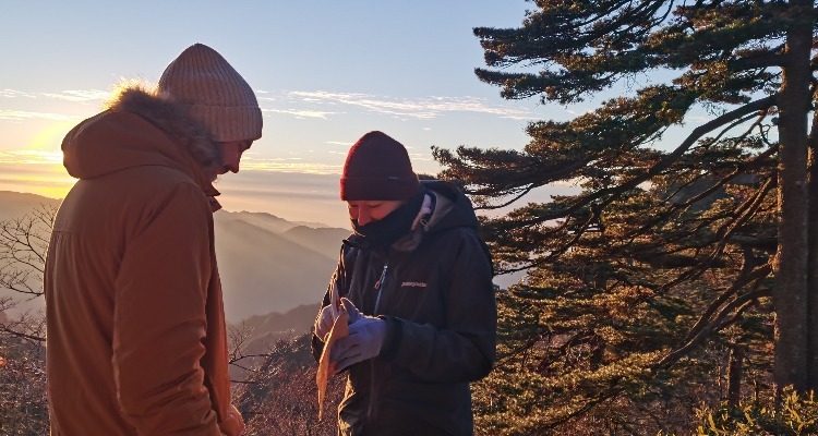 The Yellow Mountains