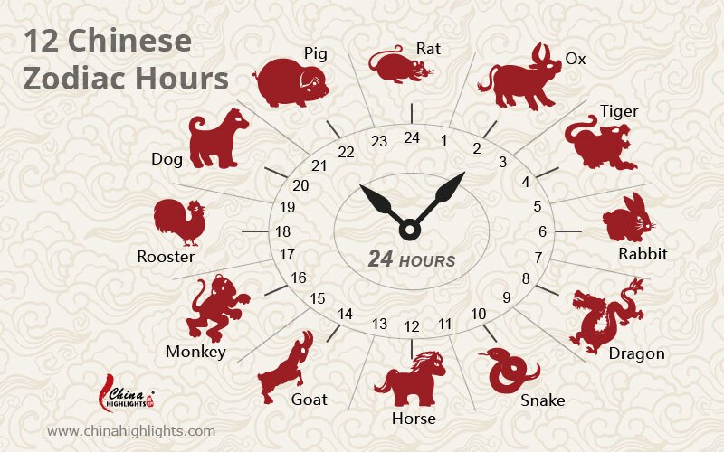 Chinese Zodiac Hours, Animals and Health - China Highlights