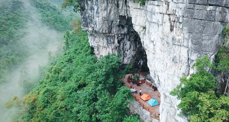 Cherry and Azalea Flowers