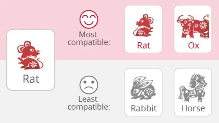 Compatibilidad de amor de Rata