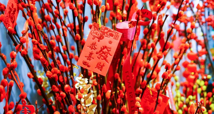 chinese new year flower