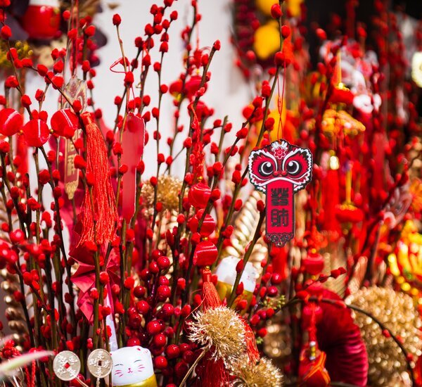 14 Chinese New Year Flowers/Fruits to Bring You Luck in 2027