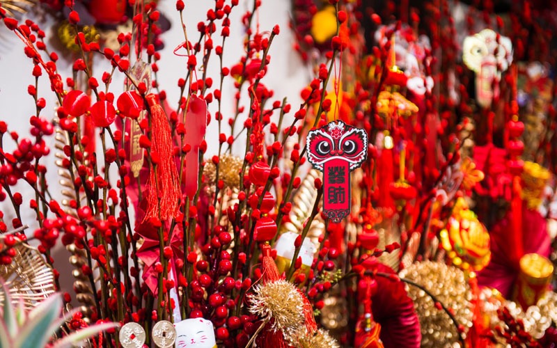 14 Chinese New Year Flowers/Fruits to Bring You Luck