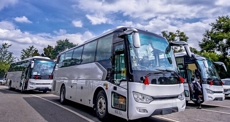 Bus