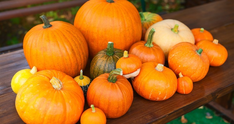 mid-autumn festival food, pumpkins