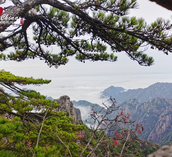 China Natural Beauty Tour