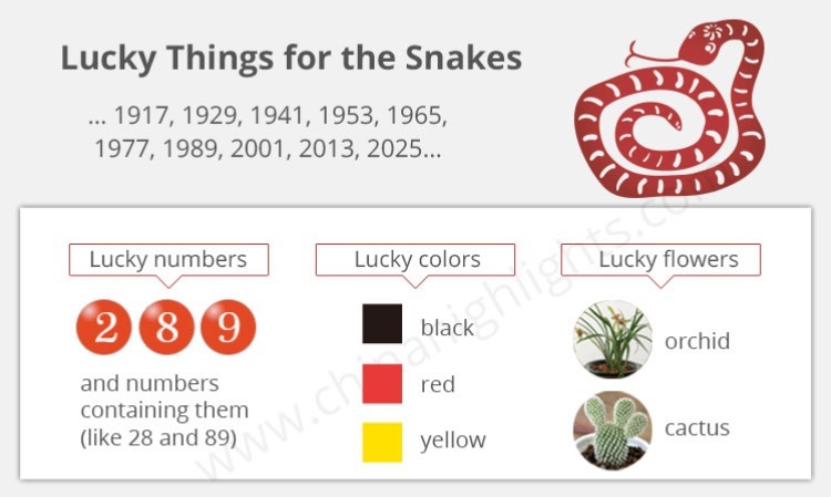 Year of the Snake: Chinese Horoscope 2026 Predictions