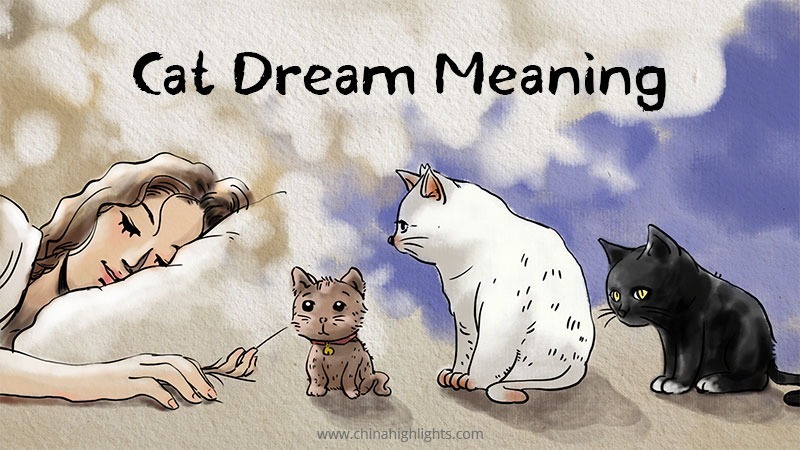 Dreaming of Cats: Kittens, Black, White, Multiple...