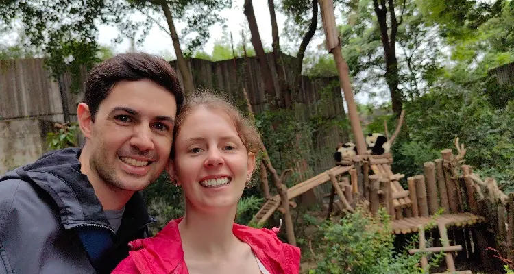 Pandas in Chengdu