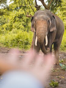 Ответственное Путешествие