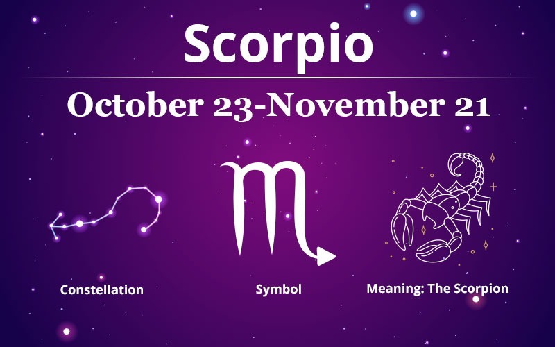 Scorpio Zodiac Sign: 2023/2024 Horoscopes, Personality, Compatibility