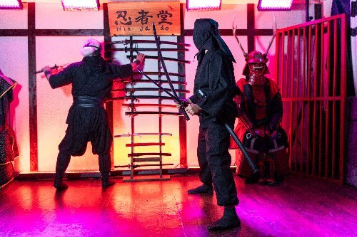Ninja Experience at Ninja Do