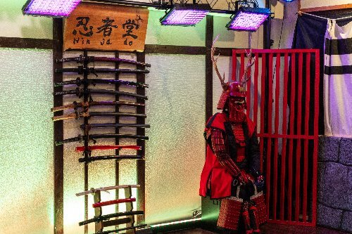 Ninja Experience at Ninja Do