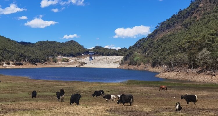 Hike on Jade Dragon Snow Mountain