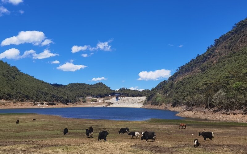 Yunnan Weather in February and the Top 5 Places to Go (2025)