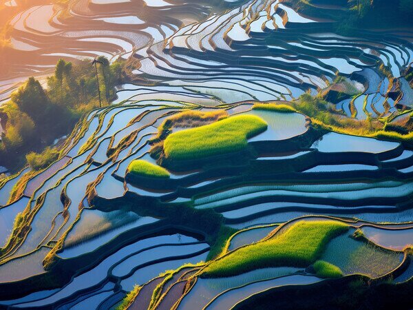 Terrasses de Yuanyang