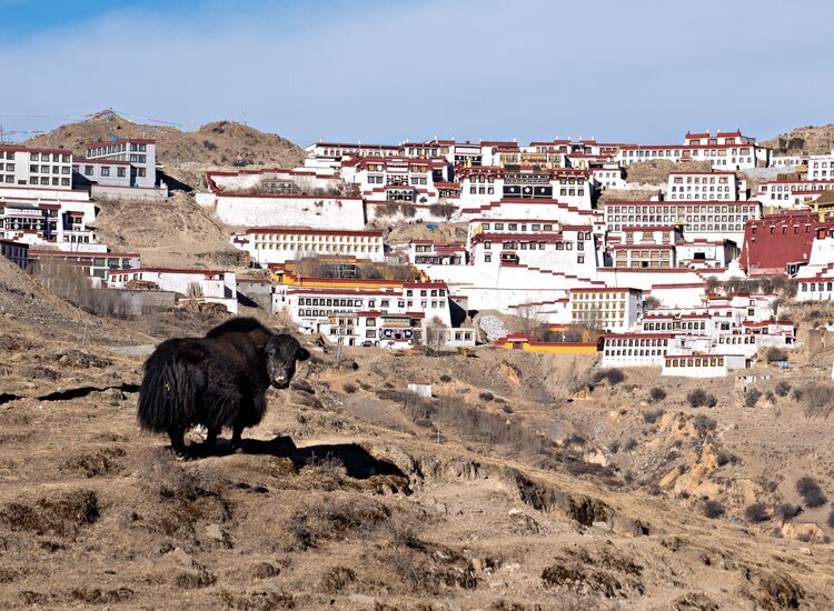 Voyage au Népal Tibet