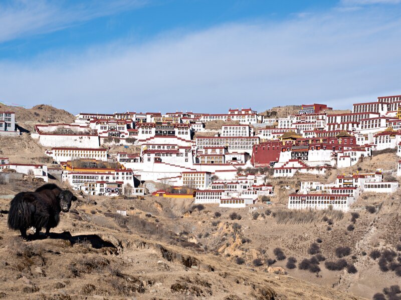 ラサ、甘丹寺、ナムツォを巡るツアー　６日間