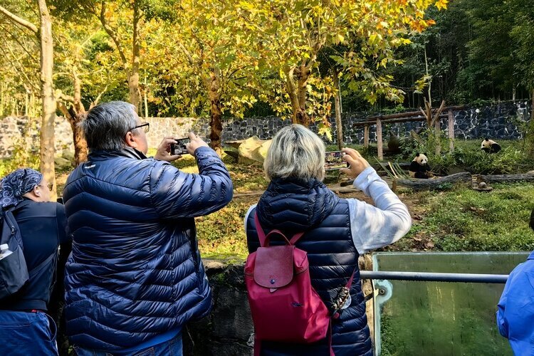 Perché scegliere Wolong