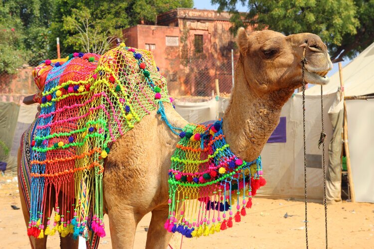 Indische Feiertage und Feste 2024