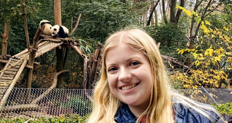 Our guest watched giant pandas in Chengdu