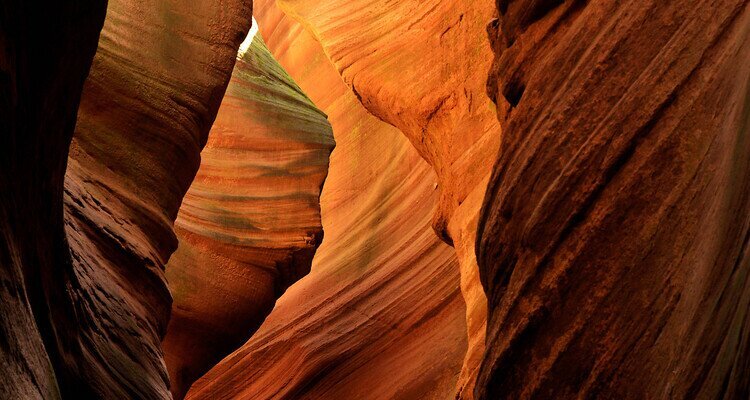 The canyon is more colorful under the sun