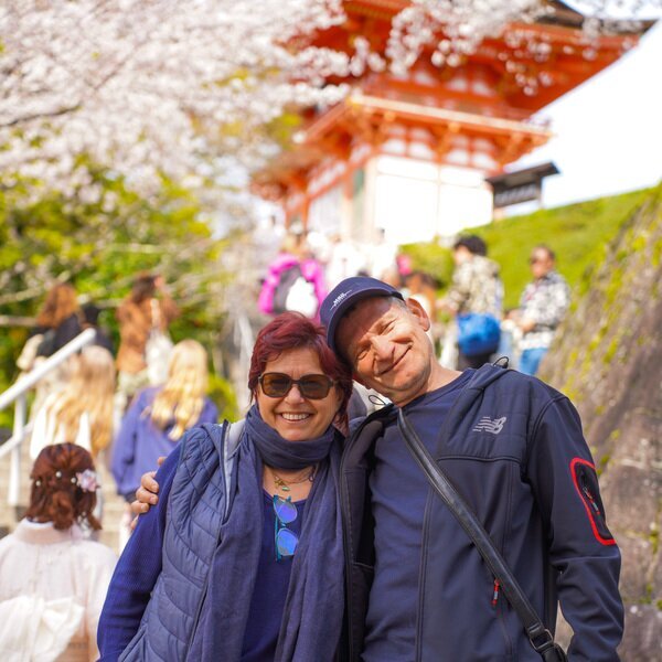 Die japanische Kirschblüte