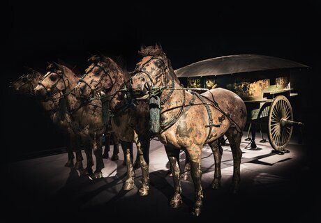 Armée de terre cuite