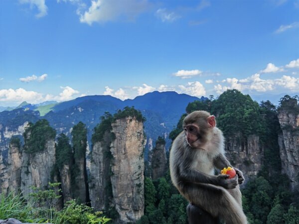 Zhangjiajie - Huangshi Dorf