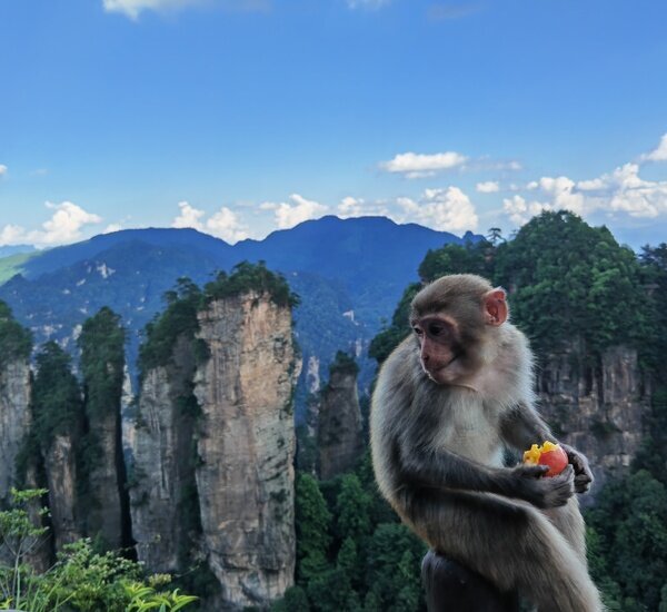 Natural Wonders Family