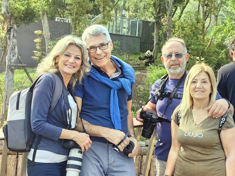 Base dui panda giganti