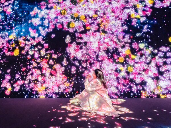 teamLab Borderless