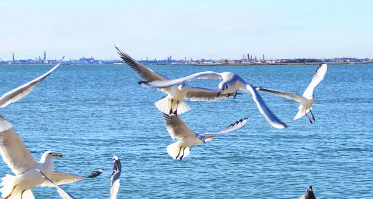 Dianchi Lake